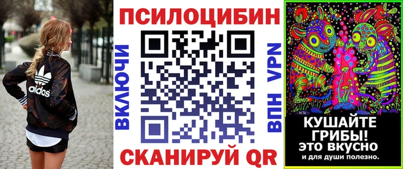 Псилоцибиновые грибы Psilocybe Новоалтайск